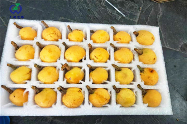 警惕：珍珠棉水果托的制作材料有毒嗎？